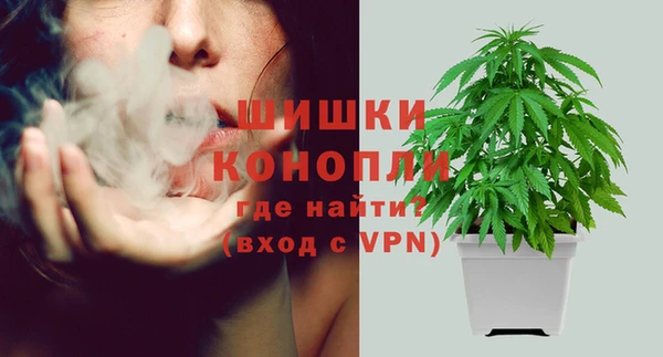 ECSTASY Белокуриха