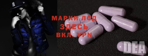 ECSTASY Белокуриха