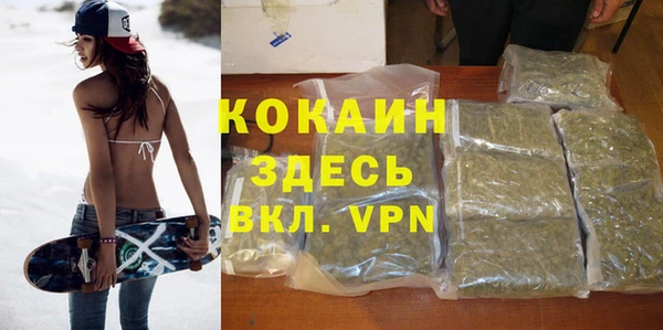 ECSTASY Белокуриха