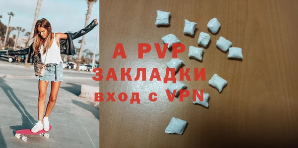 ECSTASY Белокуриха
